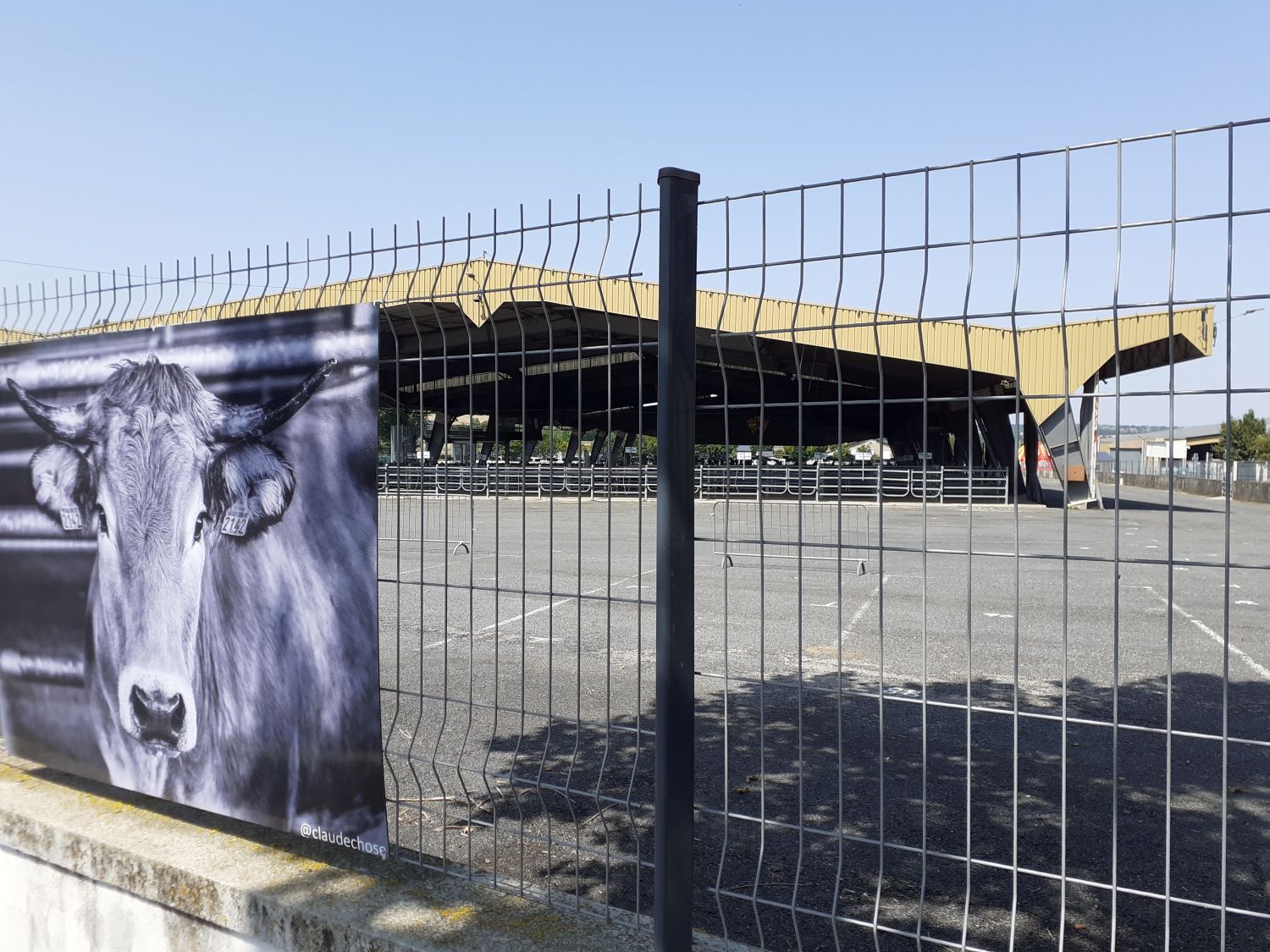 Le foirail de Laissac 20250809 bd